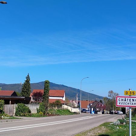 Gite Le Marronnier - Au Calme - Parking & Terrasse - Pres De Colmar Et Riquewihr - Route Des Vins Châtenois エクステリア 写真