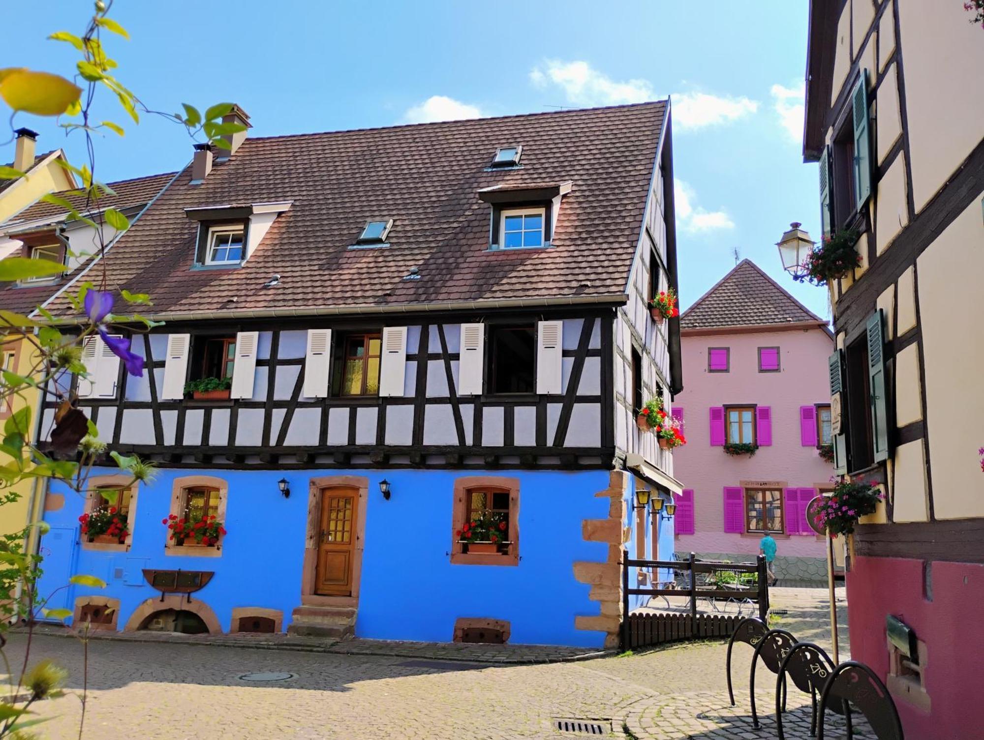 Gite Le Marronnier - Au Calme - Parking & Terrasse - Pres De Colmar Et Riquewihr - Route Des Vins Châtenois エクステリア 写真