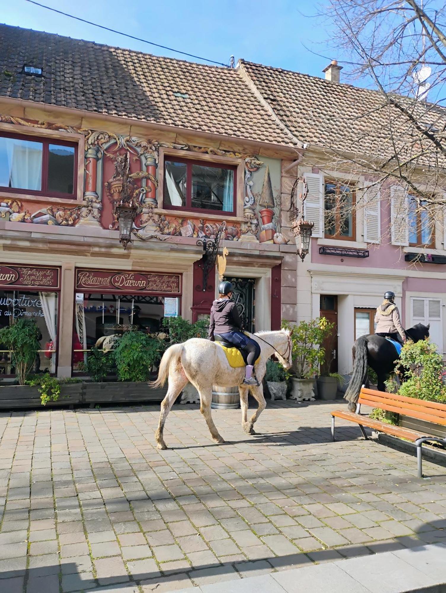 Gite Le Marronnier - Au Calme - Parking & Terrasse - Pres De Colmar Et Riquewihr - Route Des Vins Châtenois エクステリア 写真