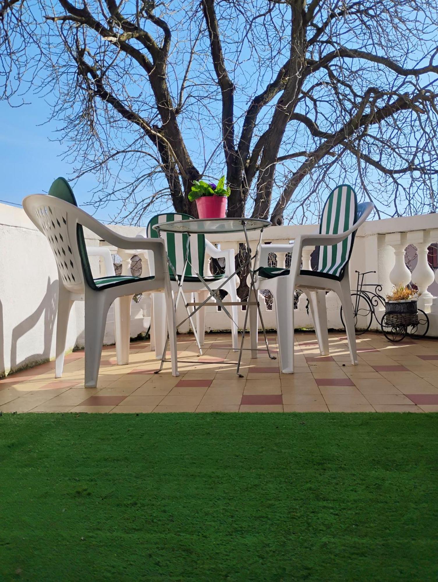 Gite Le Marronnier - Au Calme - Parking & Terrasse - Pres De Colmar Et Riquewihr - Route Des Vins Châtenois エクステリア 写真