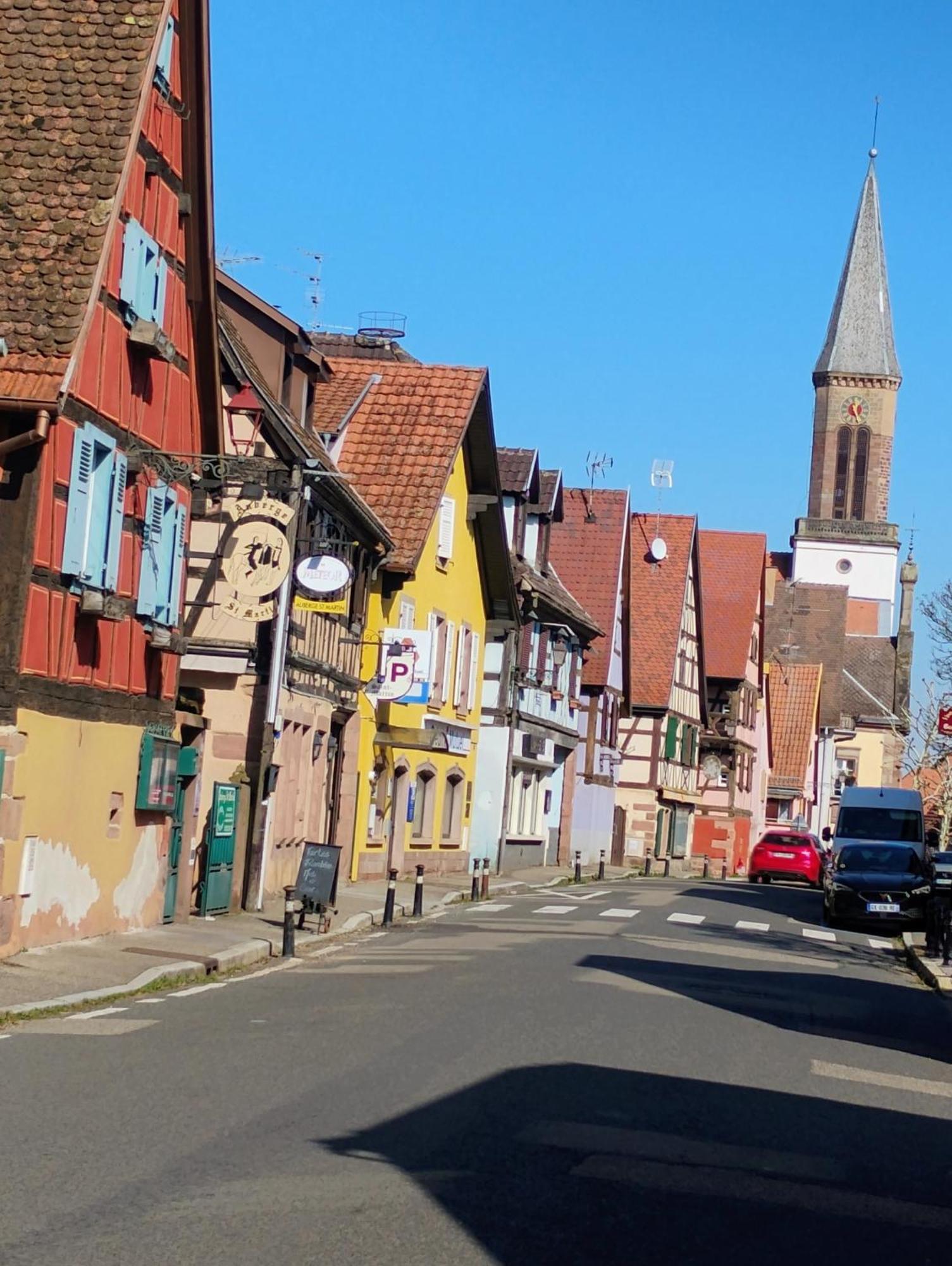 Gite Le Marronnier - Au Calme - Parking & Terrasse - Pres De Colmar Et Riquewihr - Route Des Vins Châtenois エクステリア 写真