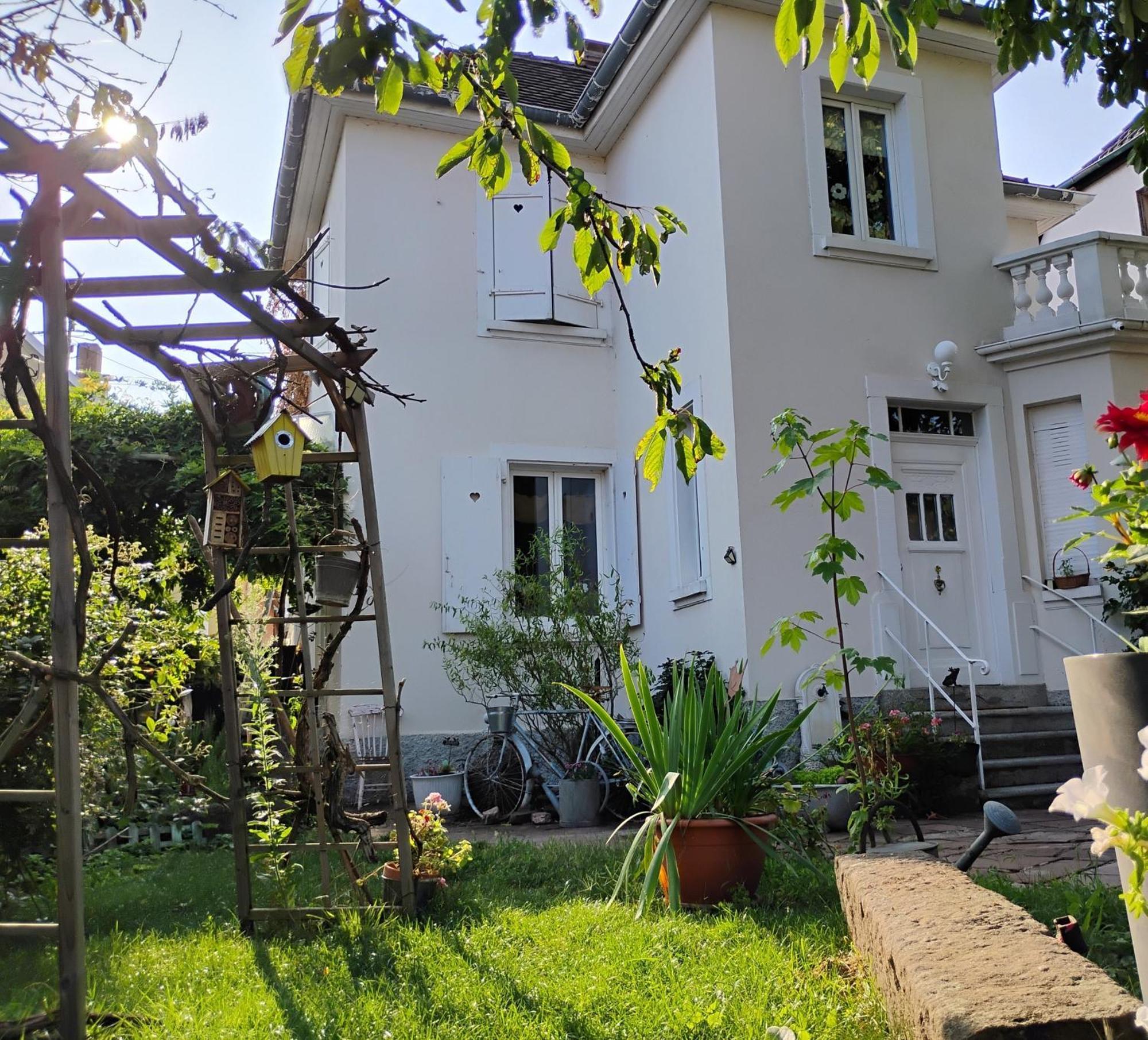 Gite Le Marronnier - Au Calme - Parking & Terrasse - Pres De Colmar Et Riquewihr - Route Des Vins Châtenois エクステリア 写真