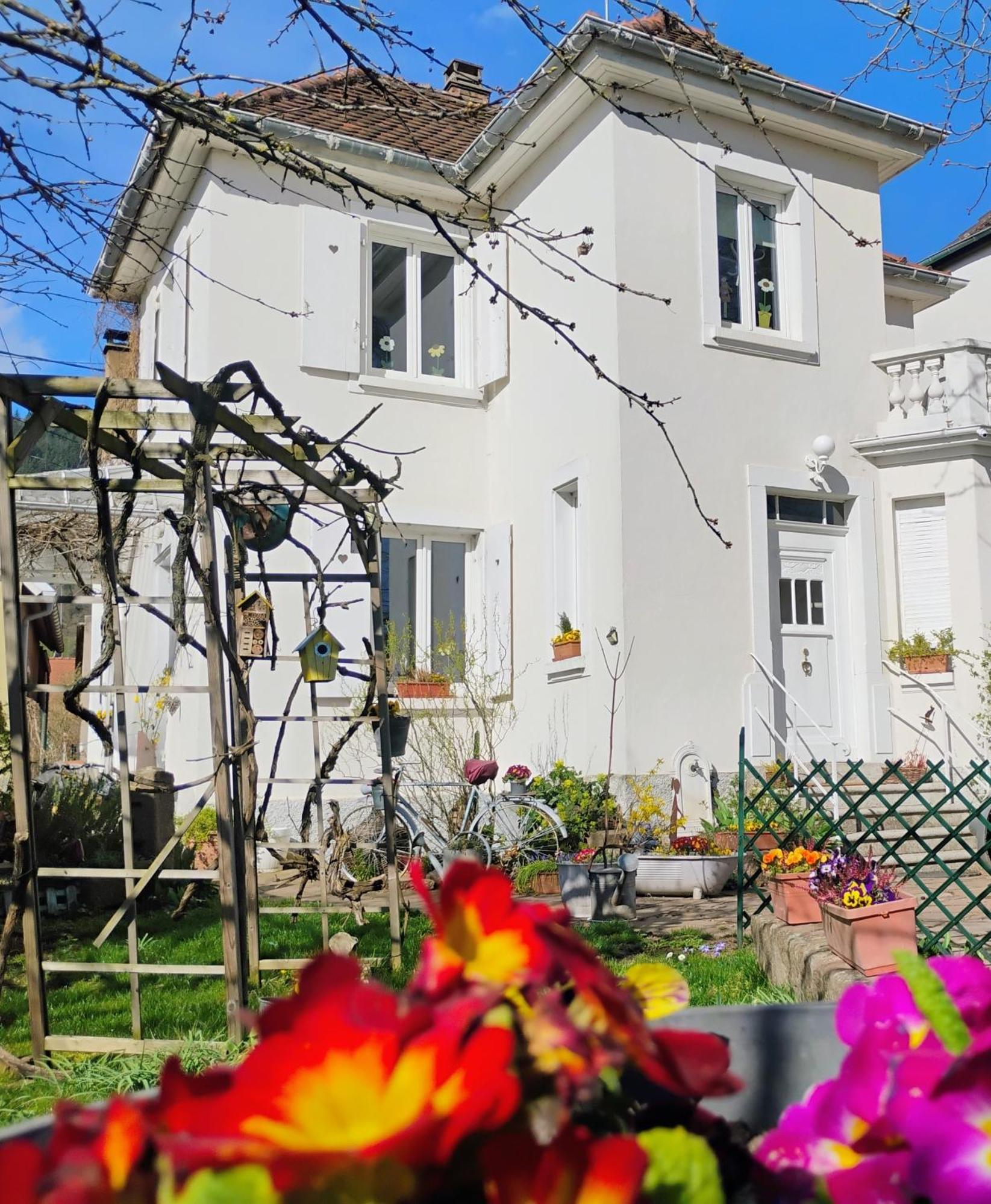 Gite Le Marronnier - Au Calme - Parking & Terrasse - Pres De Colmar Et Riquewihr - Route Des Vins Châtenois エクステリア 写真